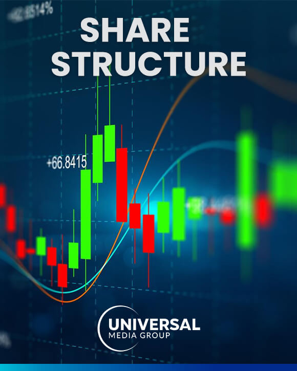 Shares Structure PDF Image